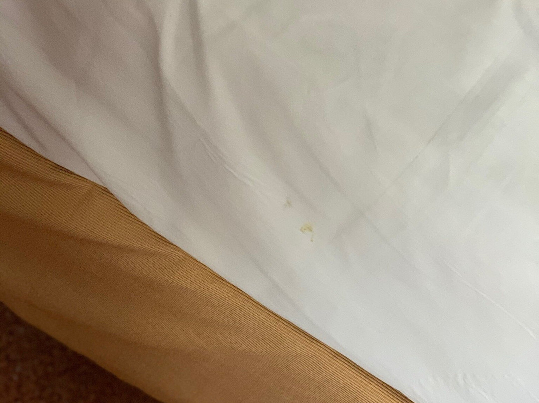 Art Hotel Voronezh主图