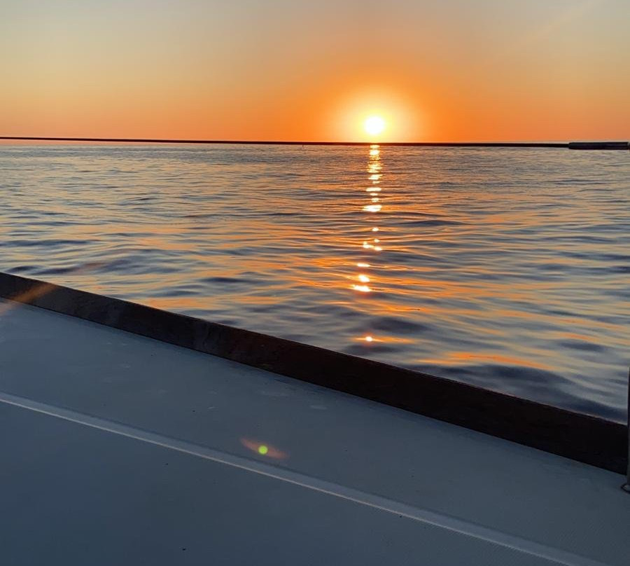 Catamaran Mallorca景点图片