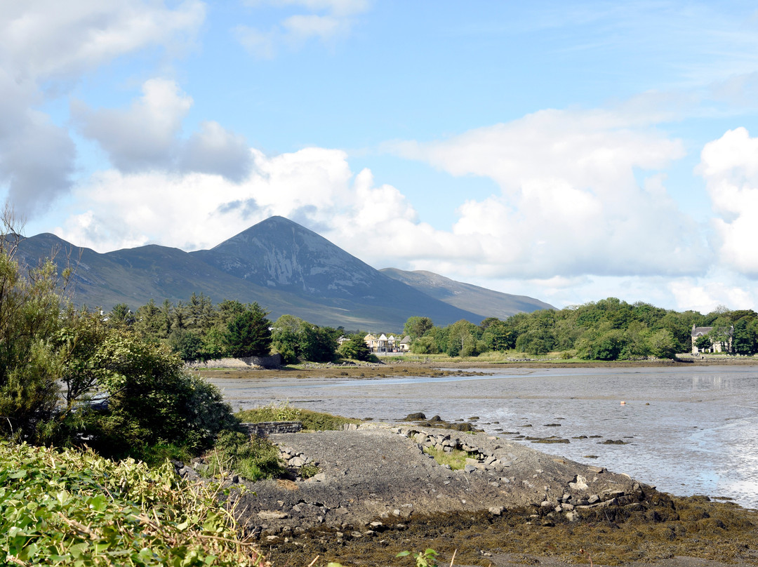 The Pink Door Westport主图