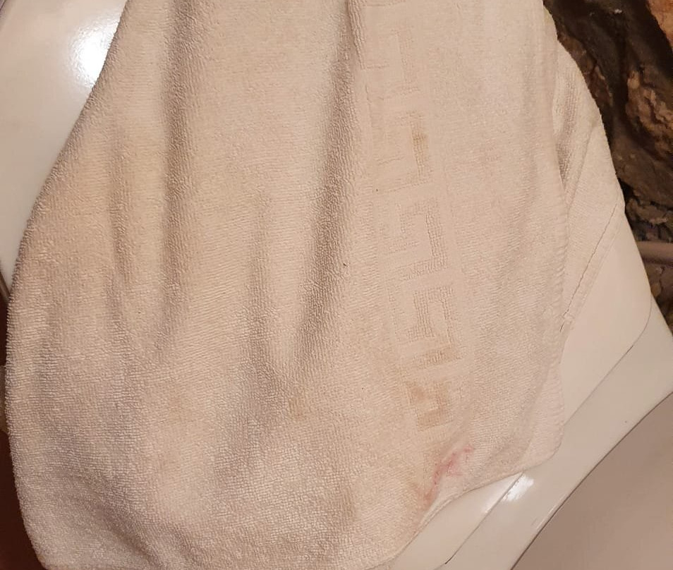 Casa Rural La Quinta de Malu主图