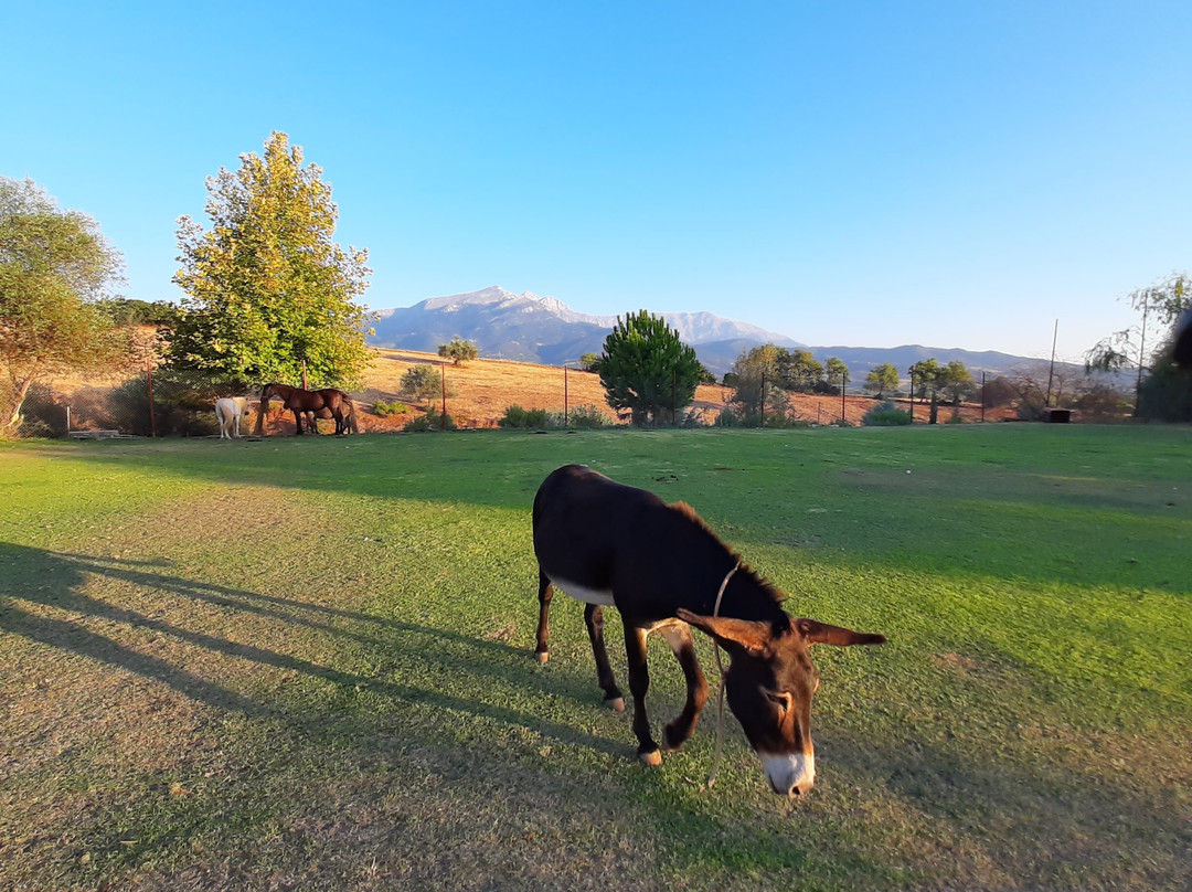 Ktima Gourdoupi-Chalandritsa必去景点