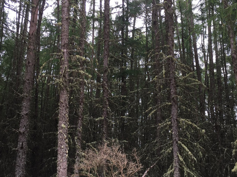 Hill of Maud-Buckie必去景点