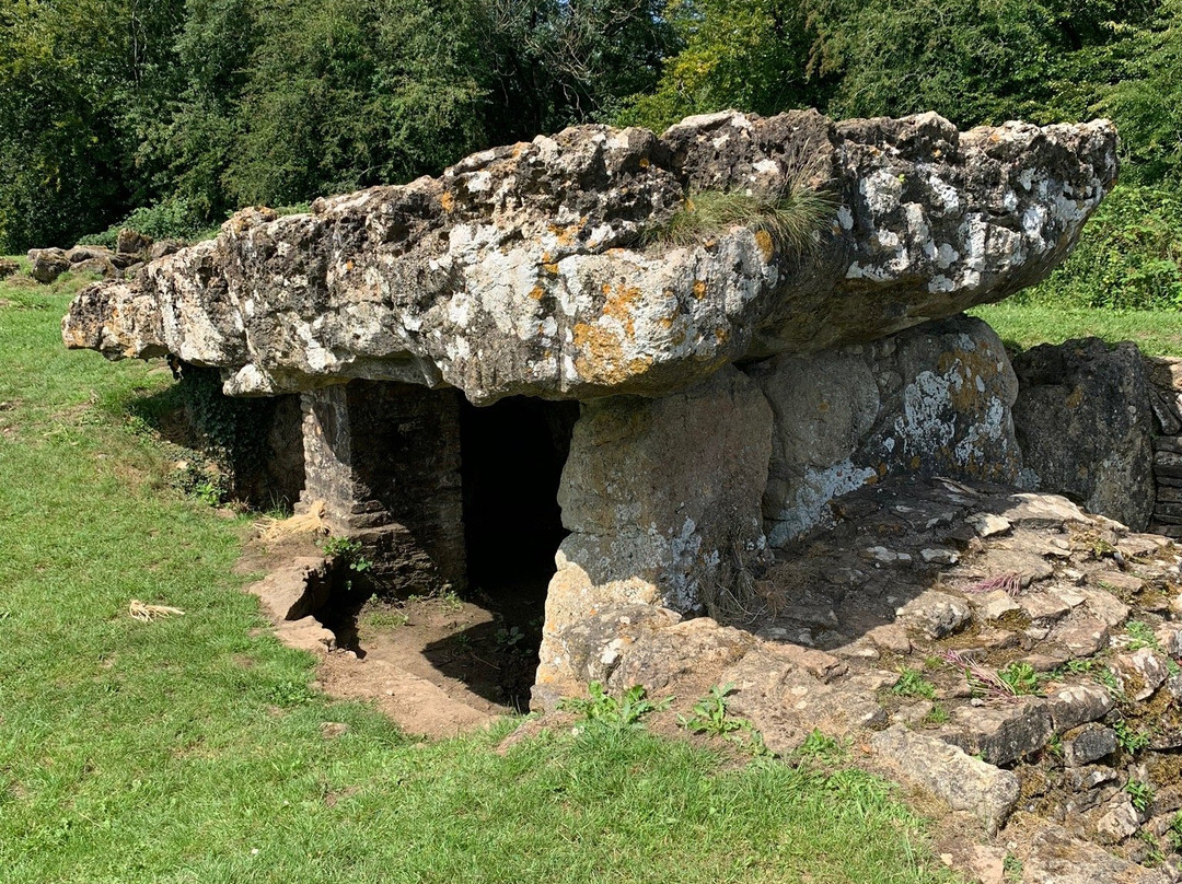 Tinkinswood Chambered Tomb景点图片