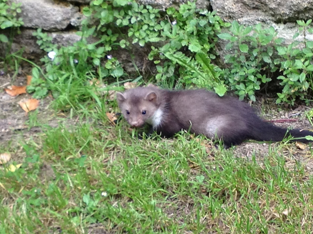 Logis du Grand Moulin主图