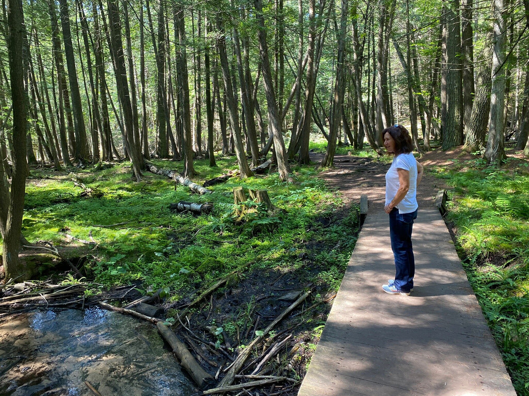 Piers Gorge Road-Norway必去景点