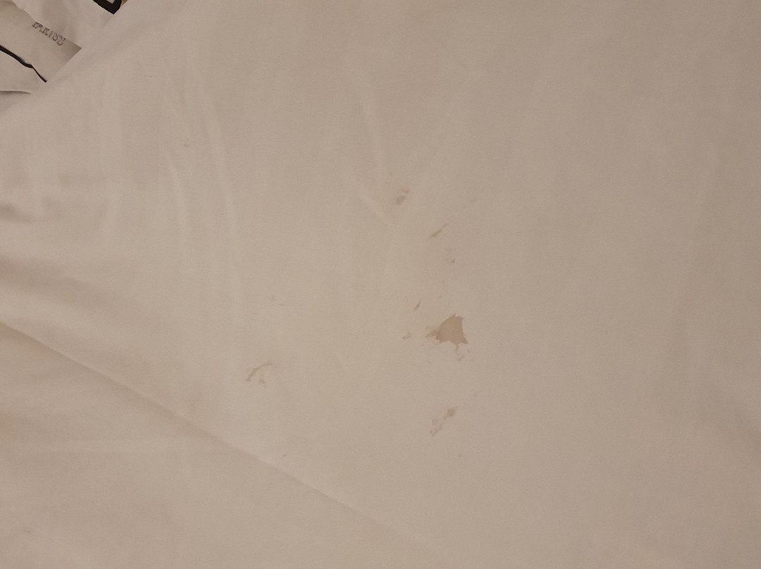 帕雷斯酒店主图