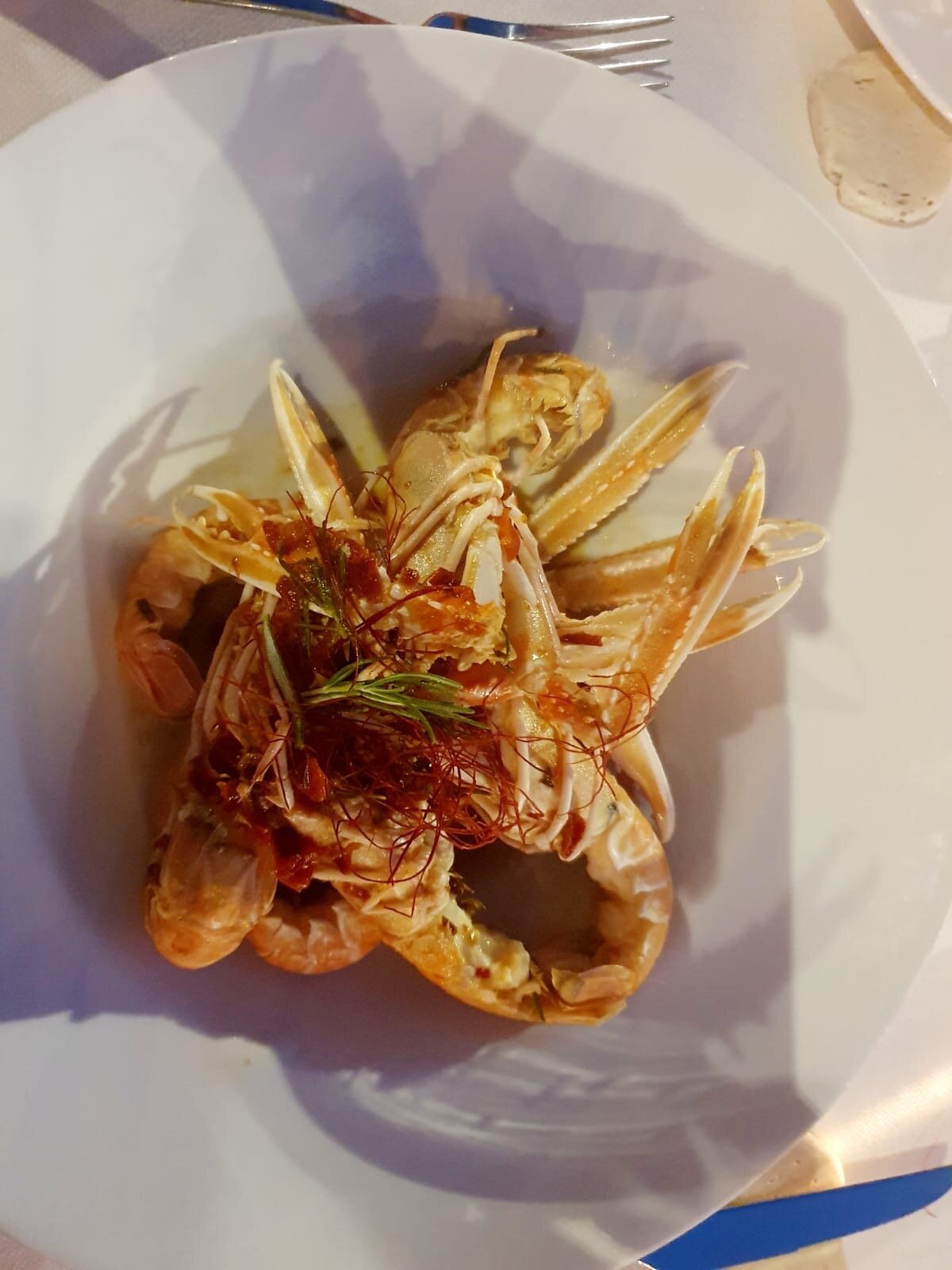 BR1 Cibo & Benessere-官方