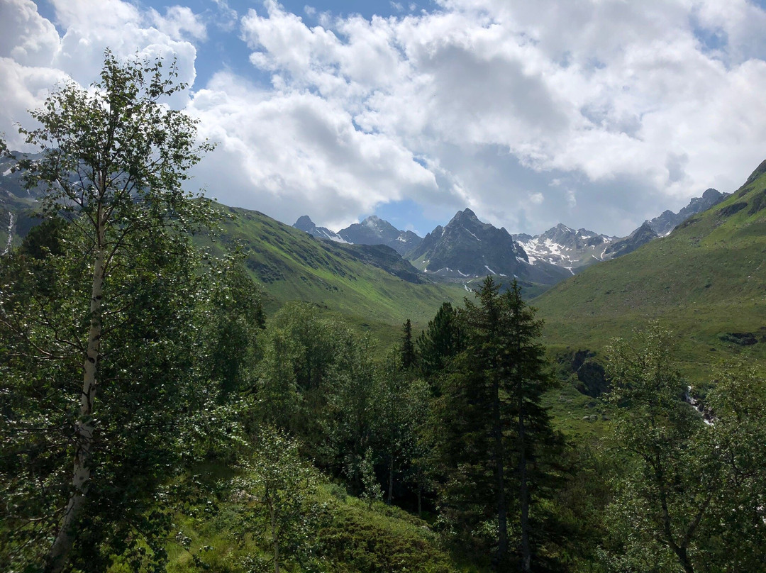 Silvretta Hochalpestrasse景点图片