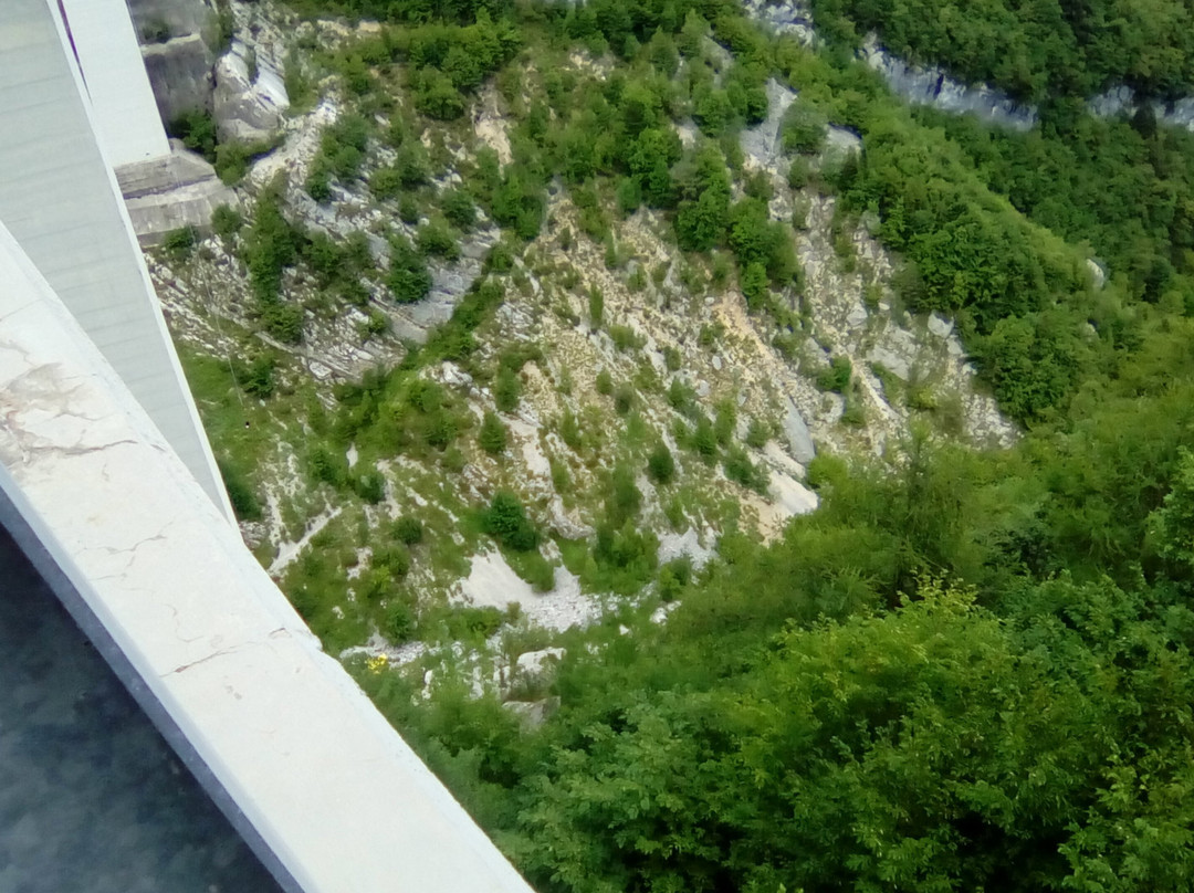 Bungee Jumping Asiago-Enego (Foza)景点图片