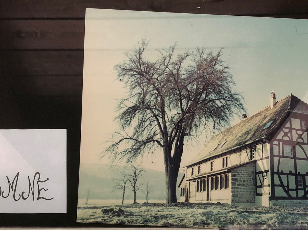 农民客栈和酒店主图