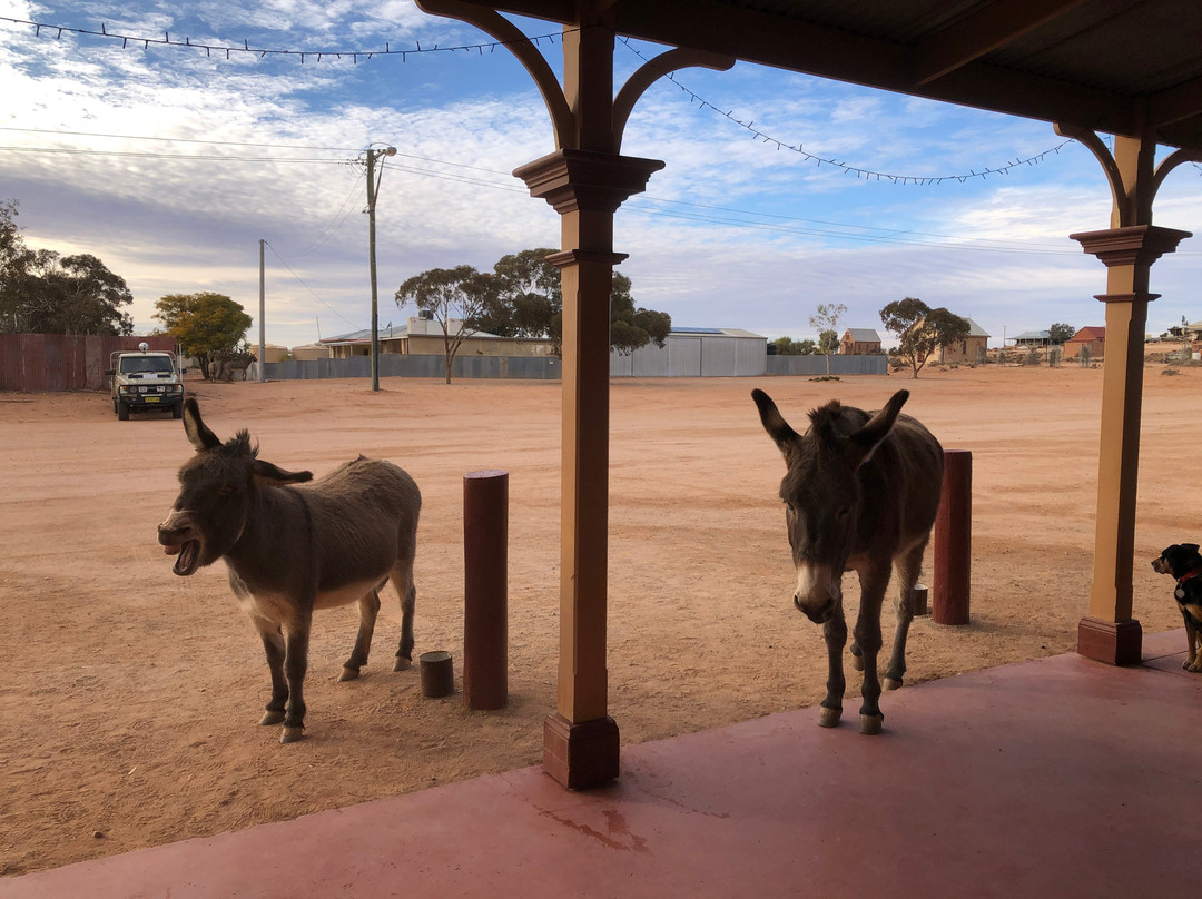 锡尔弗顿酒店主图