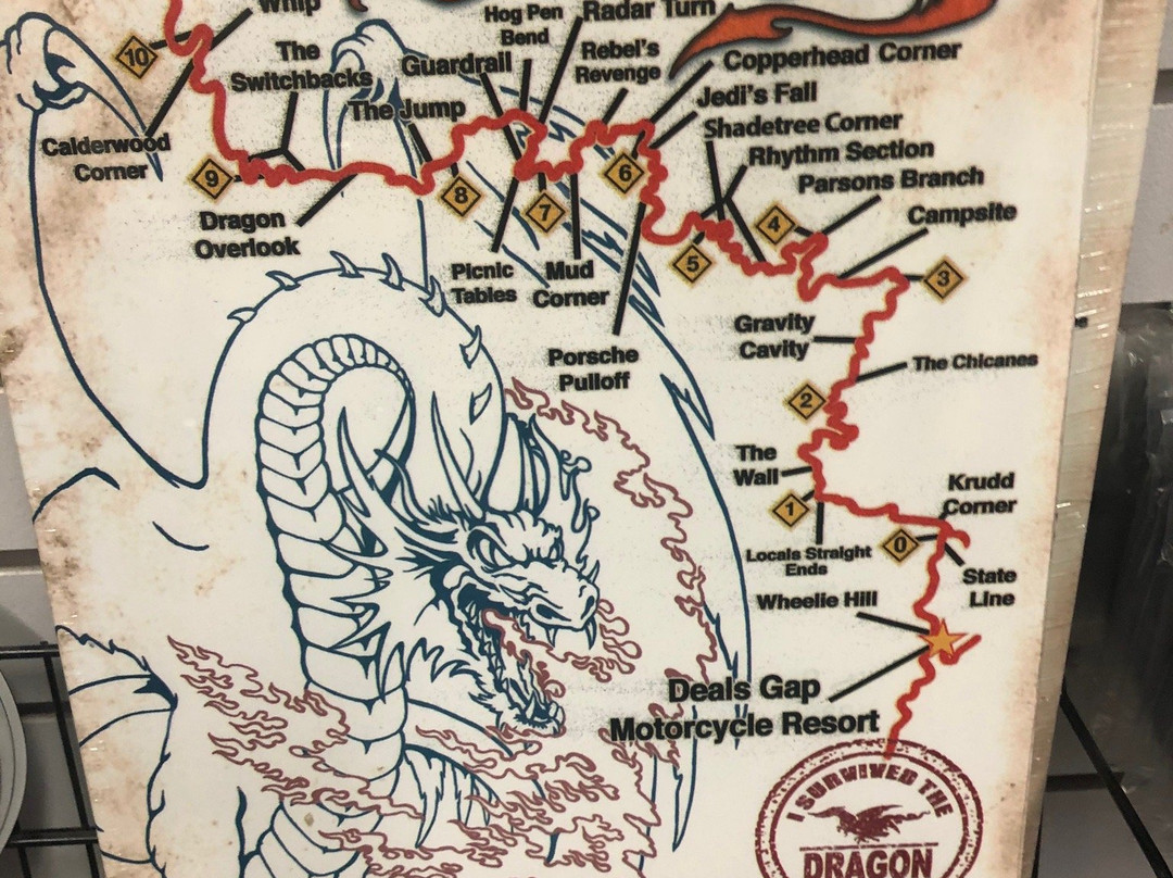 Tail of the Dragon景点图片