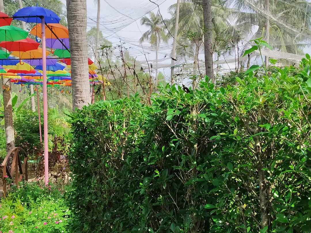 The Butterfly Corner-芭堤雅必去景点