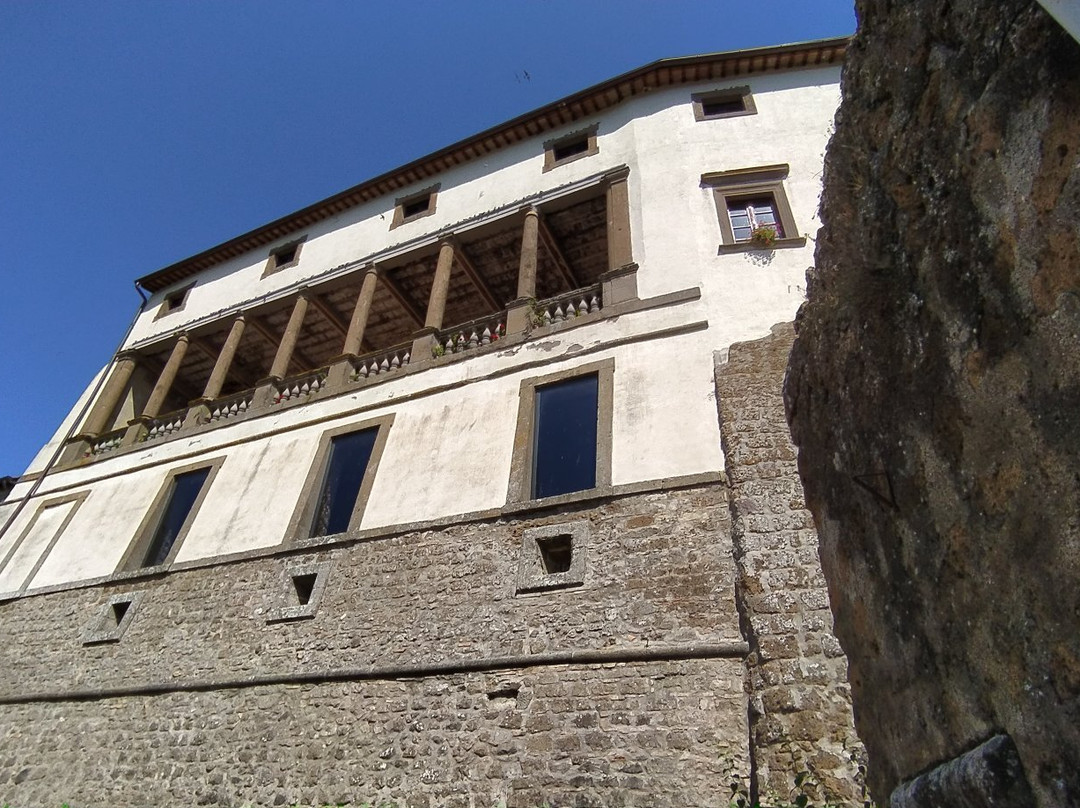Palazzo Orsini景点图片