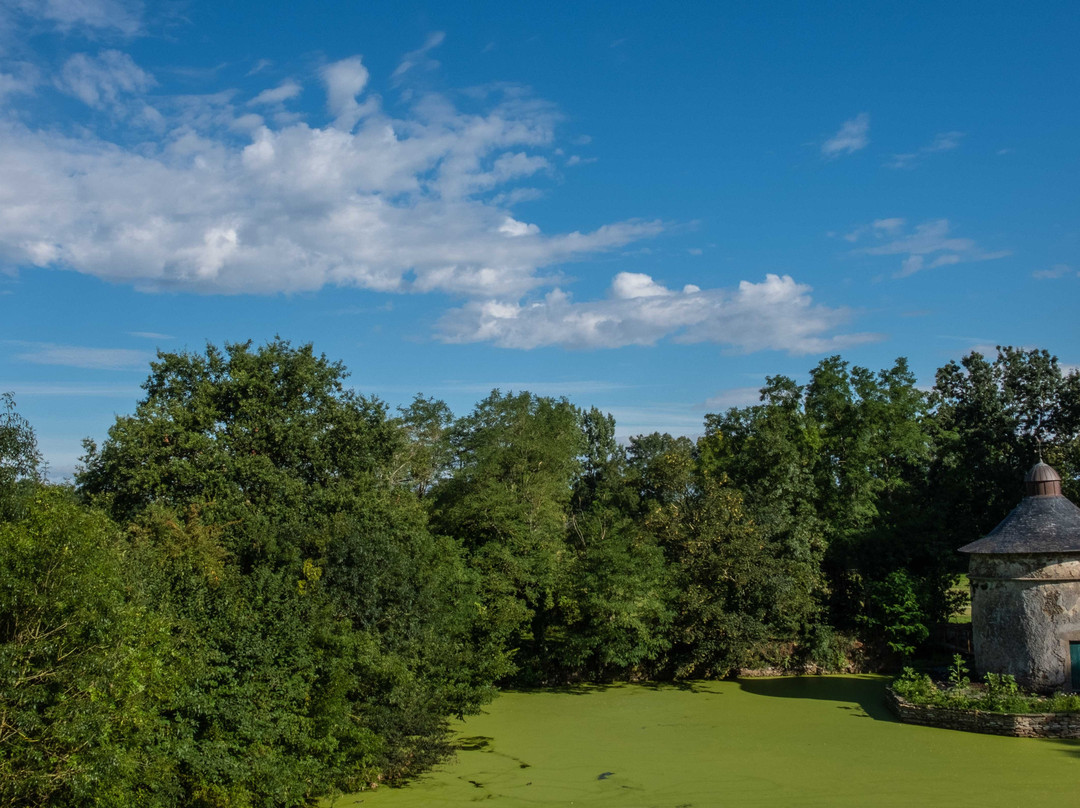 Château de la Preuille主图