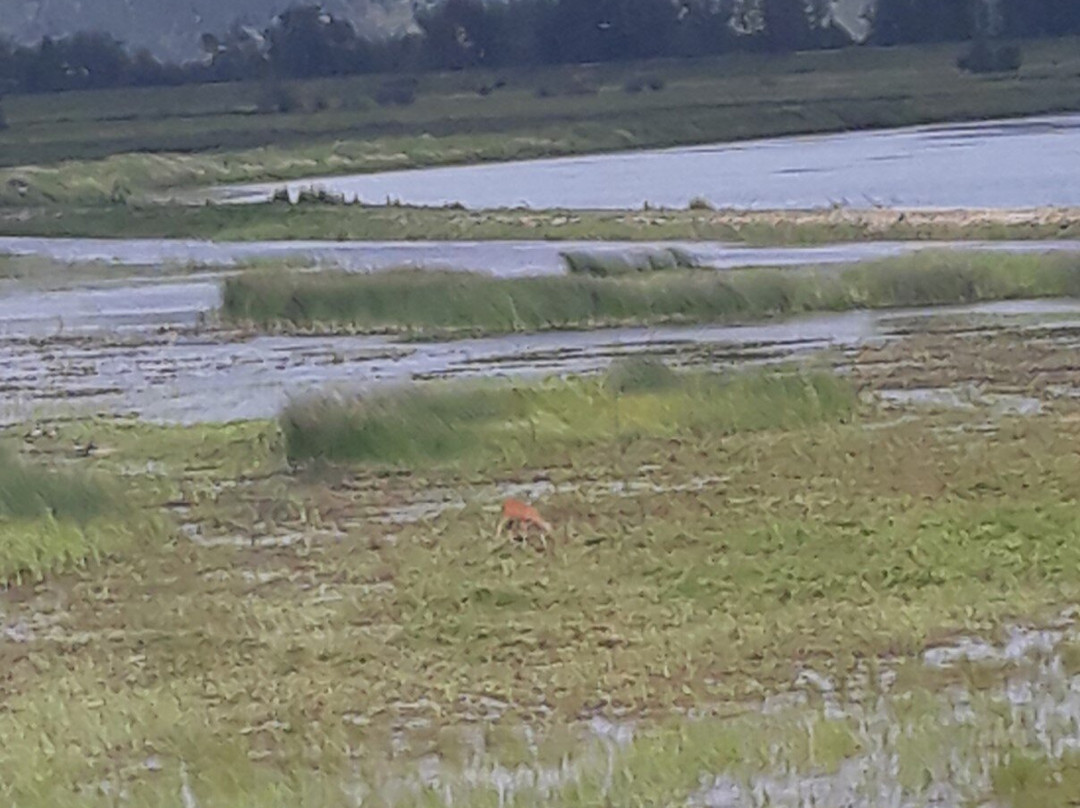 Kootenai National Wildlife Refuge-Bonners Ferry必去景点