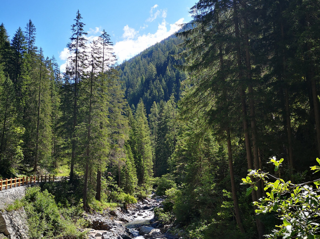 Zugenschlucht-Davos Wiesen必去景点