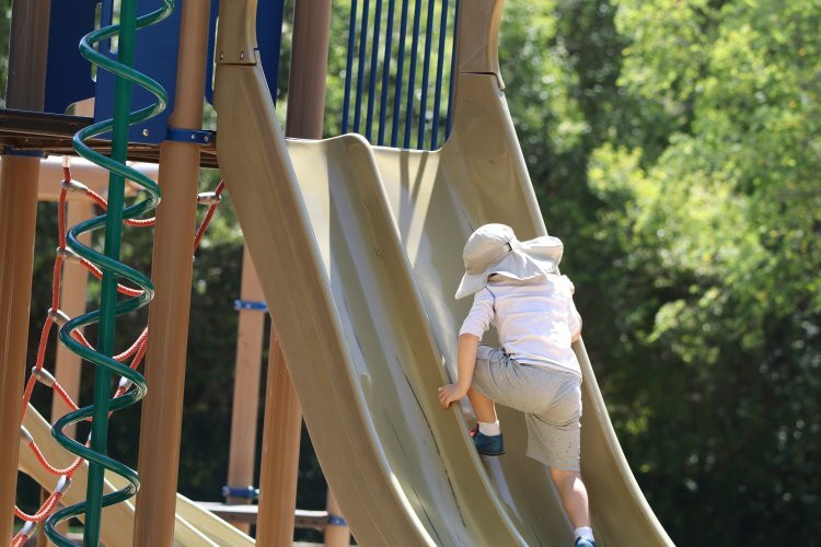 Folsom City Zoo Sanctuary-佛森必去景点