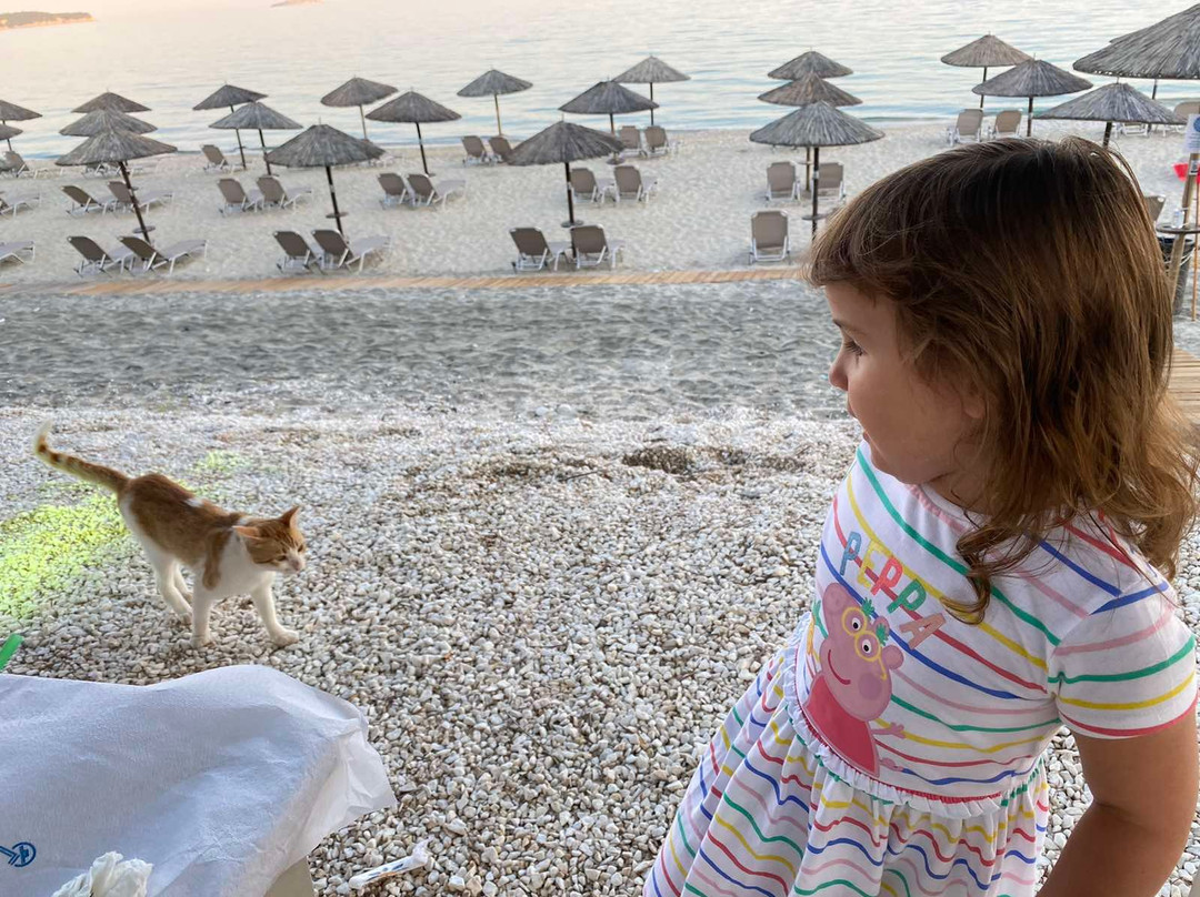 Thassos Hotel Grand Beach主图