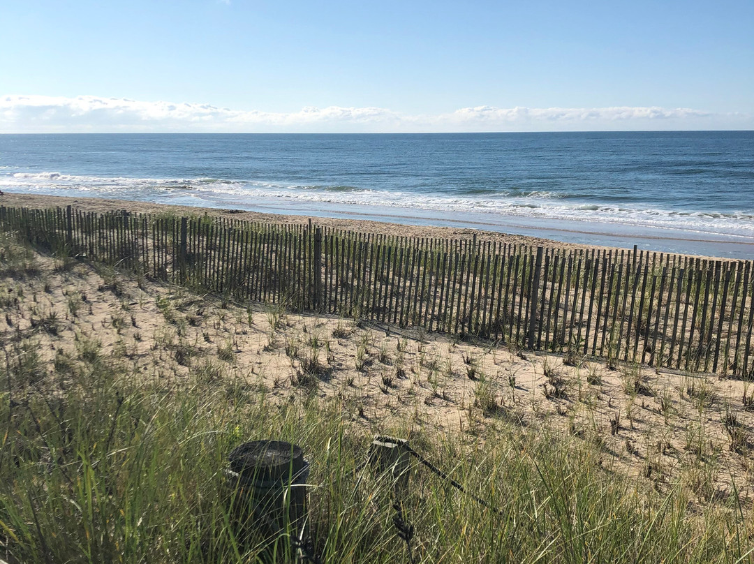 Ocean Surf Resort主图