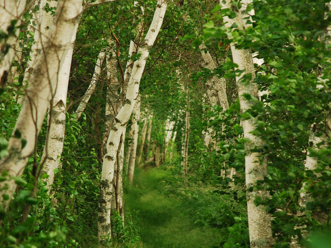 Wallace Bay National Wildlife Area-Pugwash必去景点