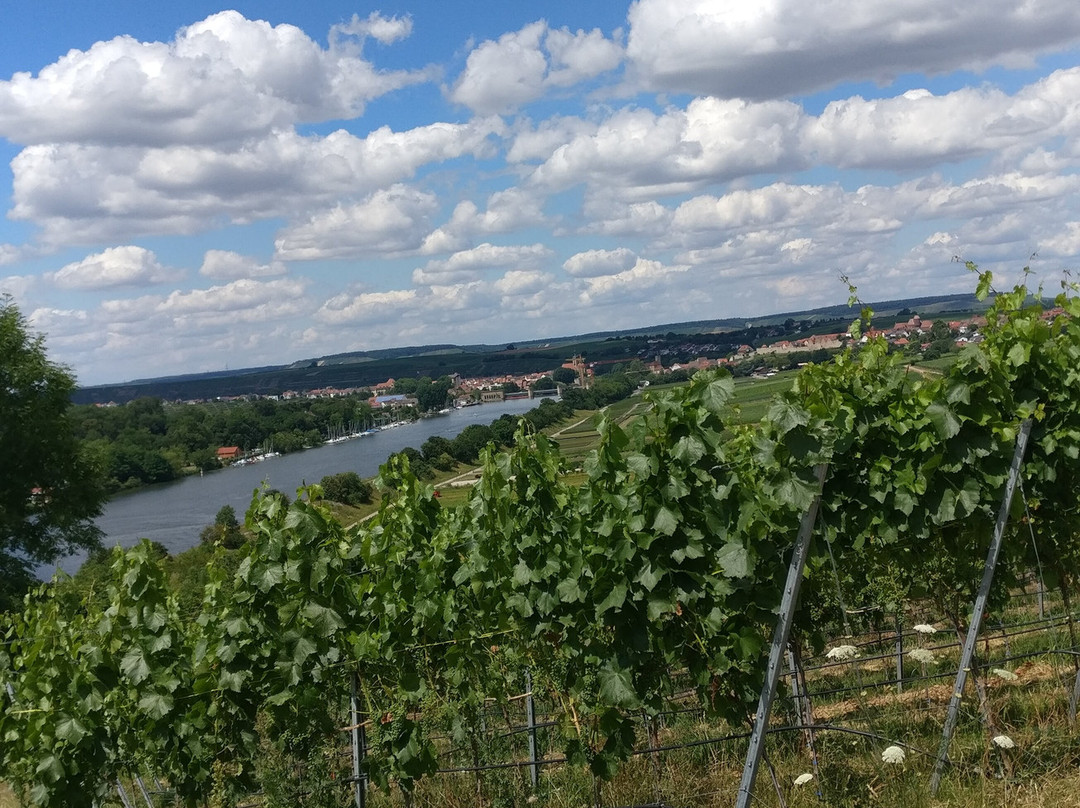 Katzenbeisser Carrus-Lauffen am Neckar必去景点