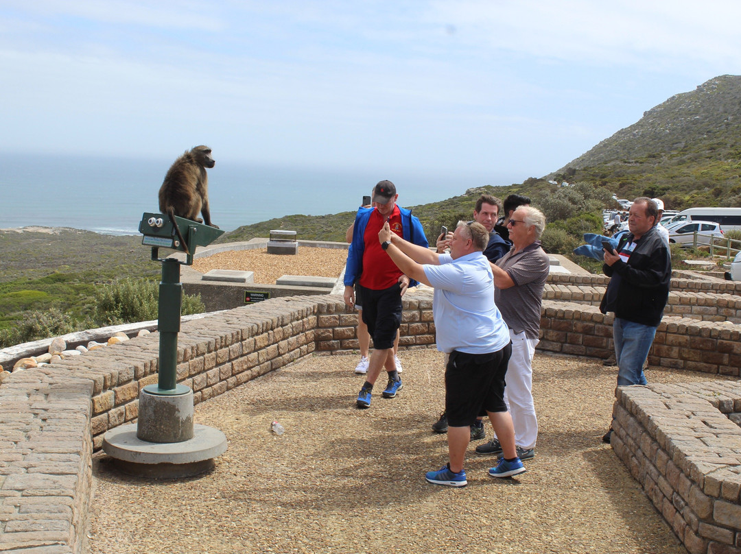 Flamboyant Travel and Tours-开普敦中心区必去景点