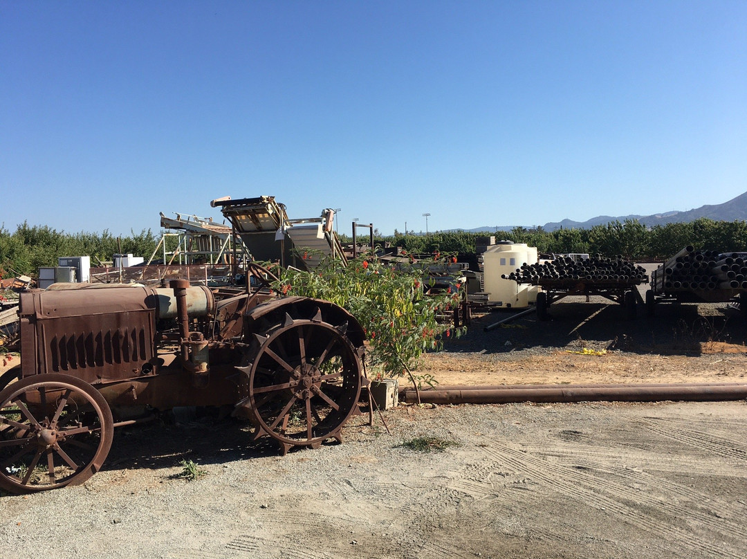 Andy's Orchard-摩根希尔必去景点