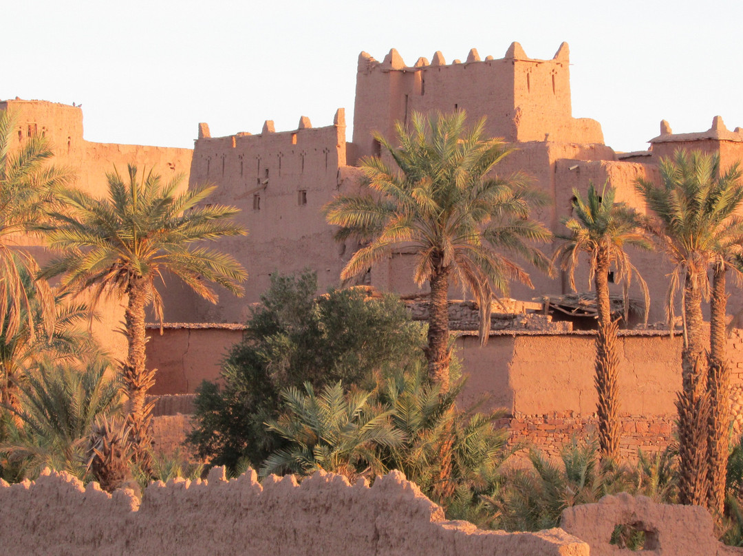Rock Carvings Nkob Tazzarine-Tazzarine必去景点