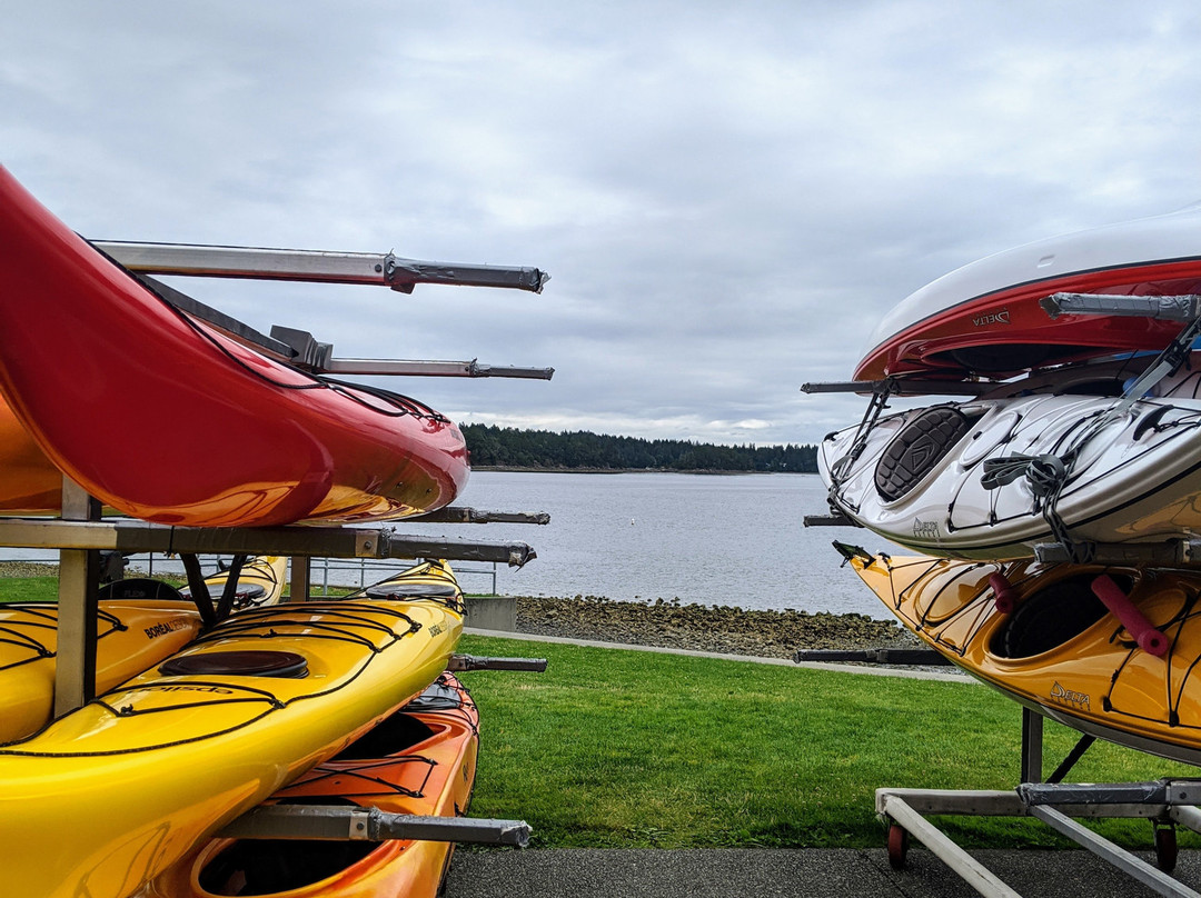 Sealegs Kayaking & Marine Adventures景点图片