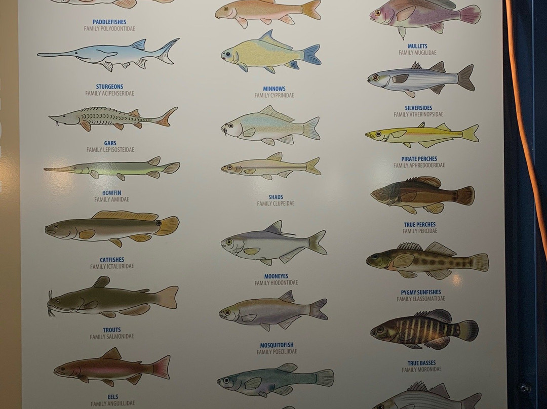 Medicine Park Aquarium and Natural Sciences Center-劳顿必去景点