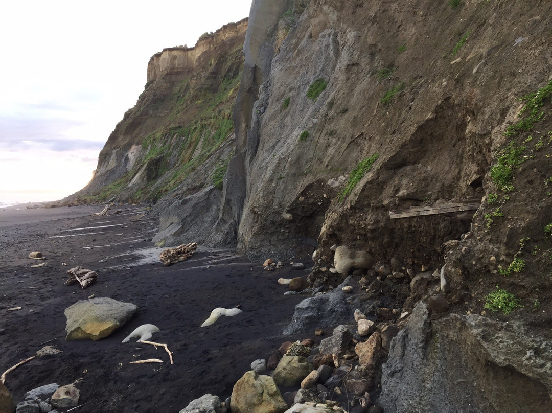 Waihi Beach景点图片