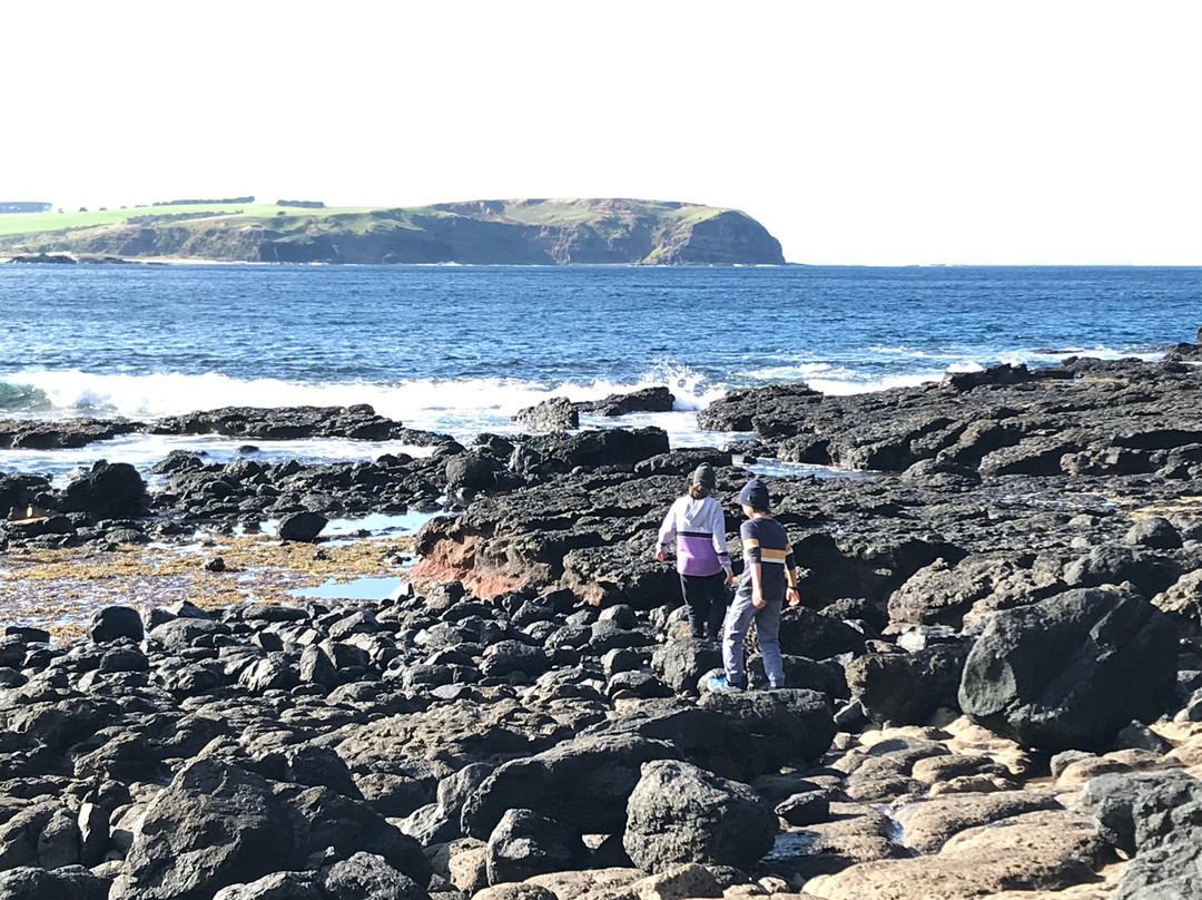 Cape Schanck Boardwalk景点图片