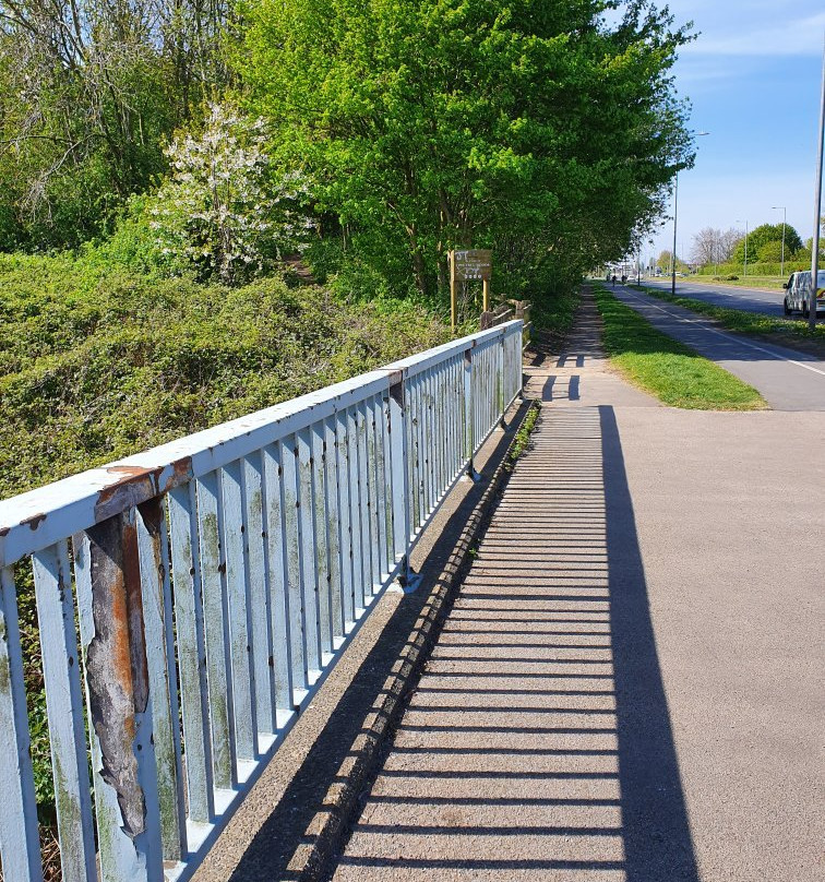 Lime Tree Woods-诺斯利必去景点