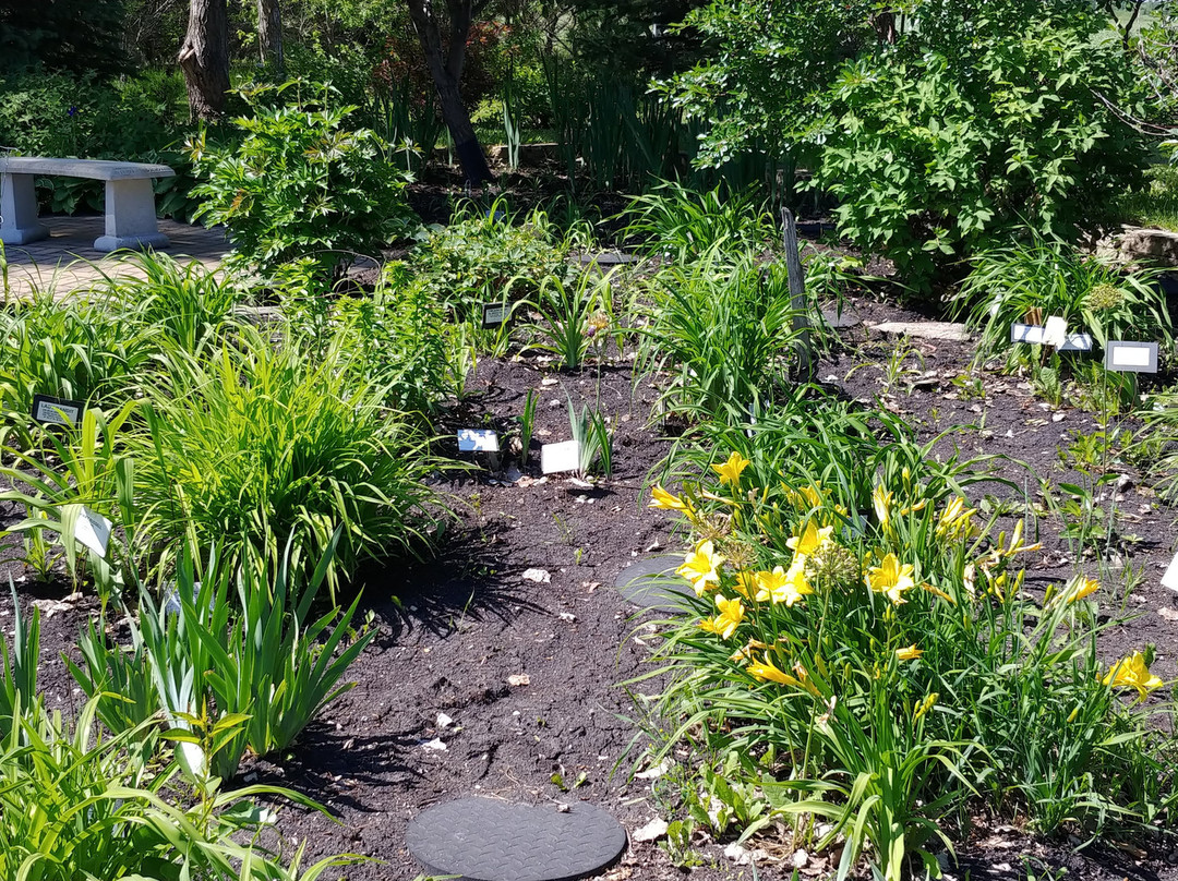 Beausejour Daylily Gardens-Beausejour必去景点