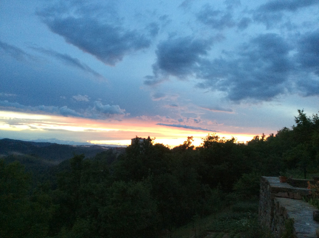 B&B Poggio delle Ginestre主图