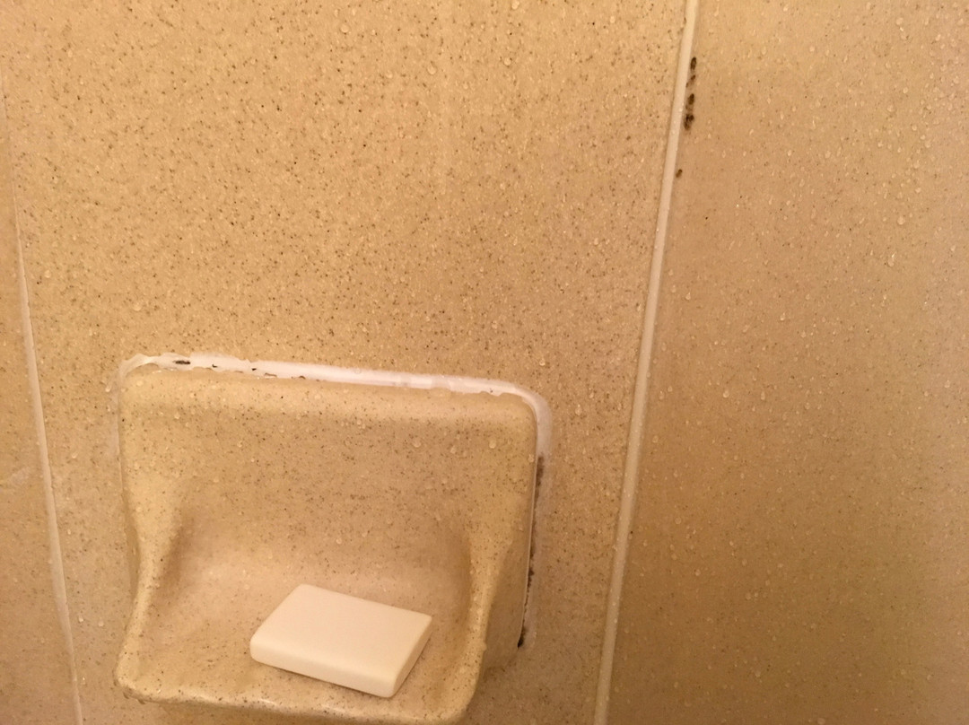 Holiday Inn Express & Suites Thornburg-s. Fredericksburg By IHG主图