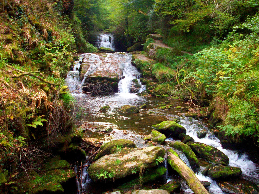 Exmoor National Park Centre, Lynmouth景点图片