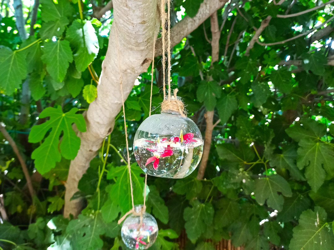 Kadma Winery-Kfar Uriah必去景点