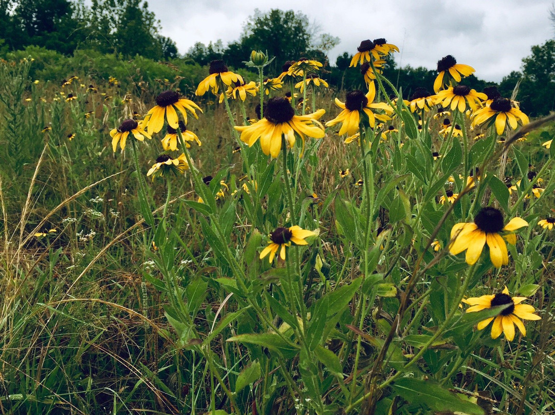 Honey Springs Battlefield-Checotah必去景点