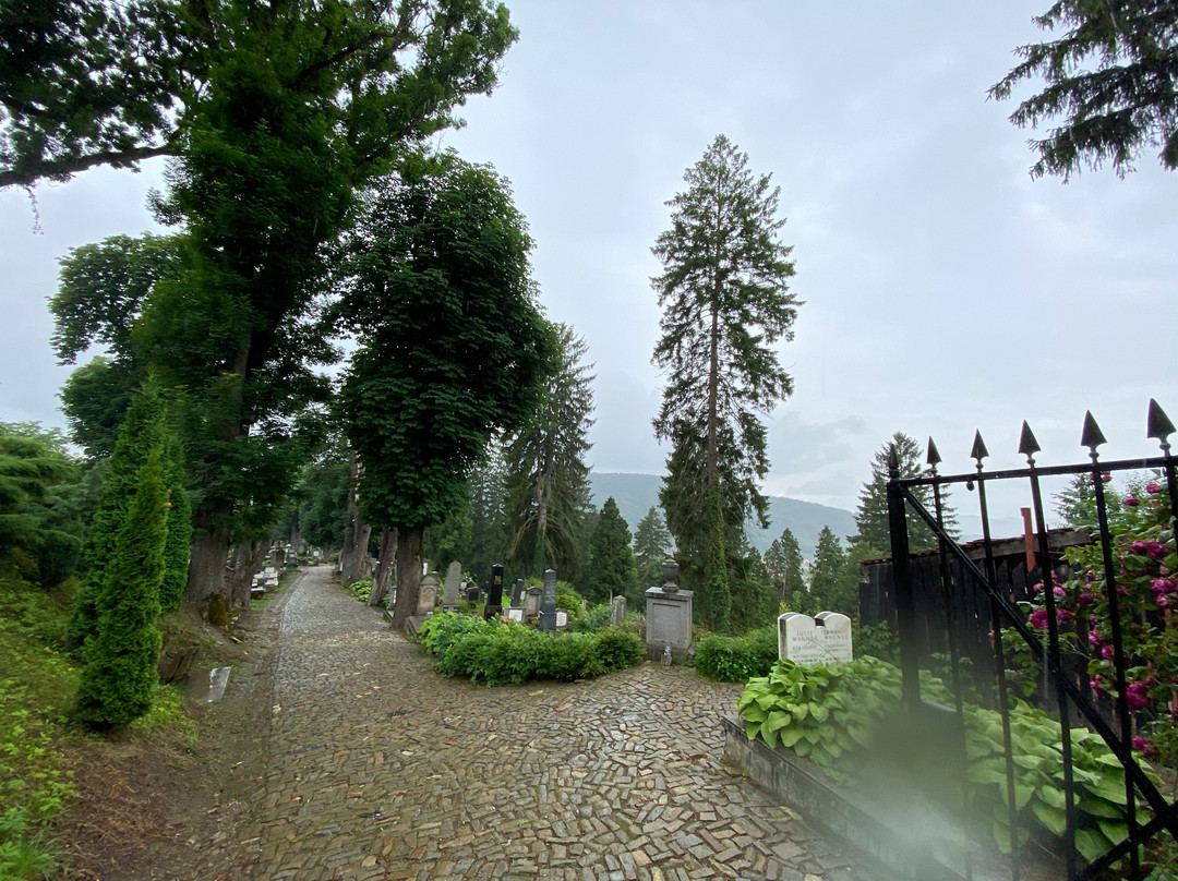 Cementerio aleman de Sighisoara景点图片