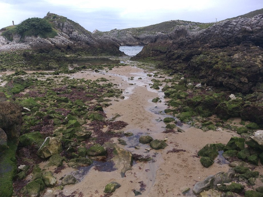 Playa de San Juan de la Canal-Soto de la Marina必去景点