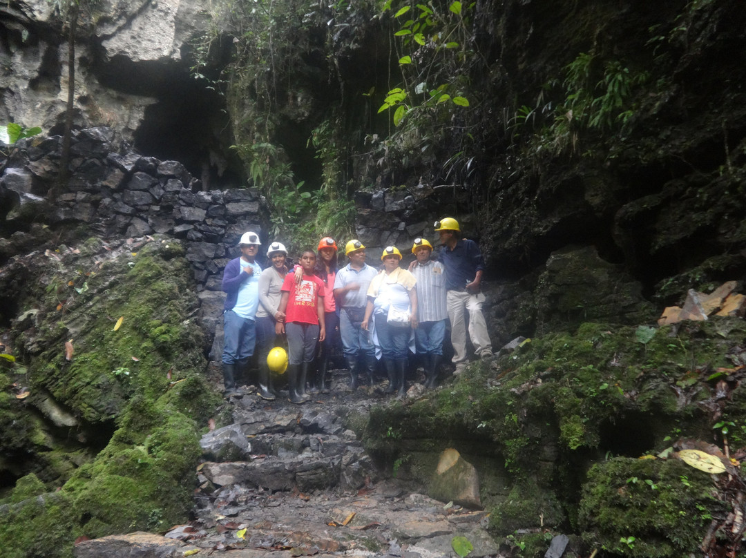 Cueva de Palestina-Nueva Cajamarca必去景点