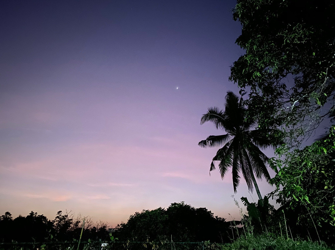 Jeevaka Villa and Ayurveda Retreat - Jeeva Villa主图