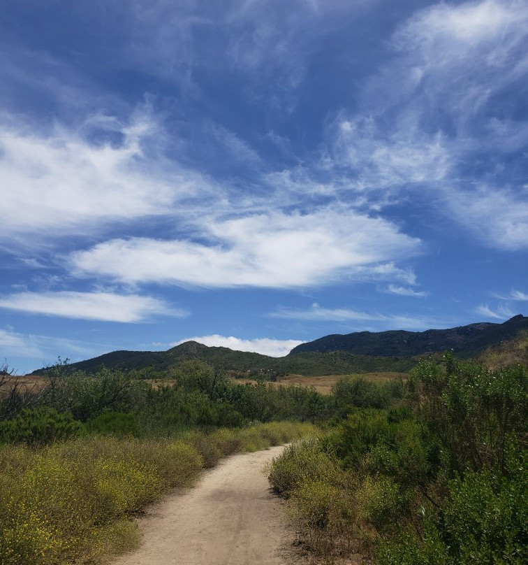 Big Sycamore Canyon Hike景点图片