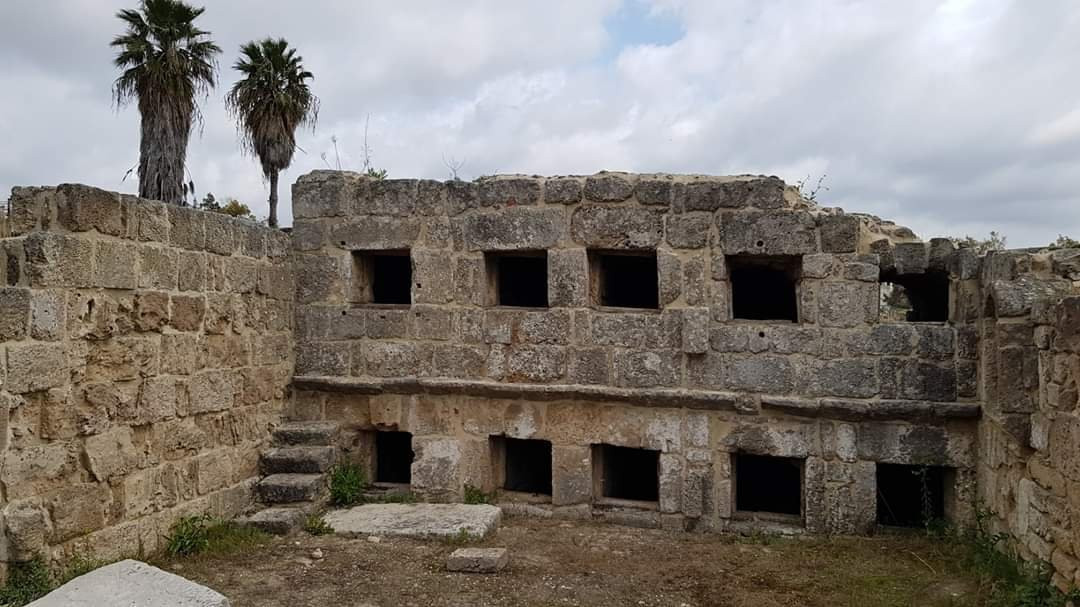 Tyre Hippodrome-Tyre必去景点