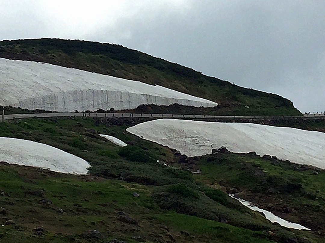 Yuki no Otani (Snow Wall)-立山町必去景点