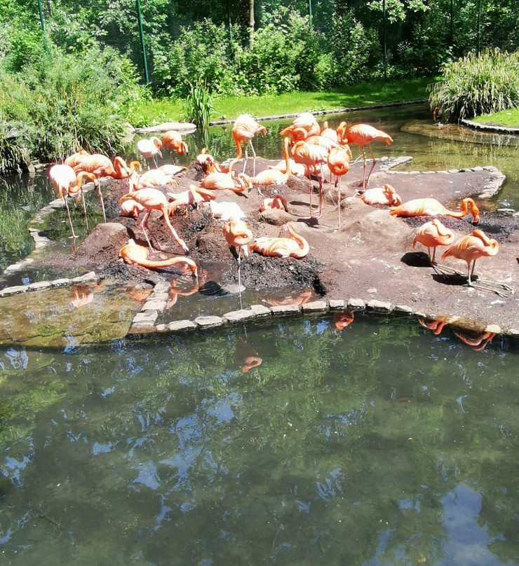 Tierpark Cottbus景点图片