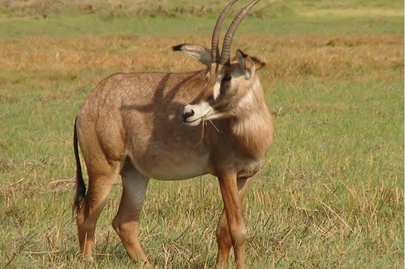 Ruma National Park景点图片