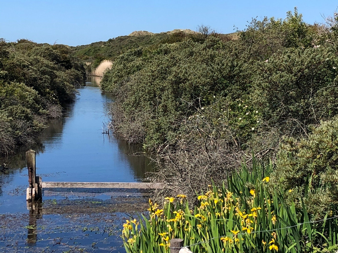 Natuurgebied Oranjezon-Vrouwenpolder必去景点